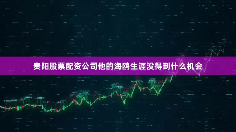 贵阳股票配资公司他的海鸥生涯没得到什么机会
