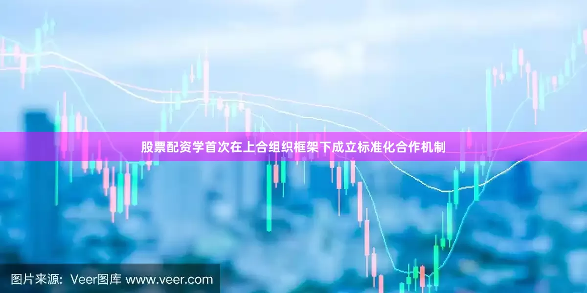 股票配资学首次在上合组织框架下成立标准化合作机制