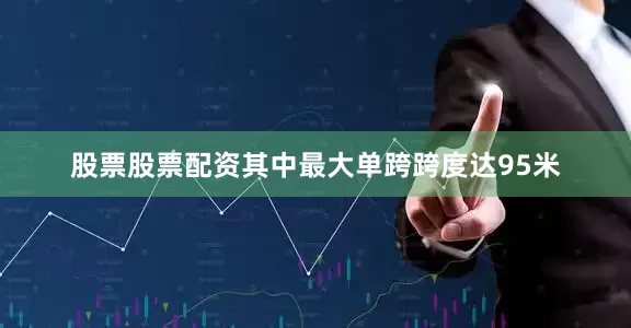 股票股票配资其中最大单跨跨度达95米