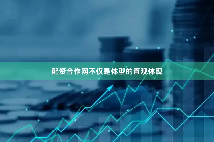 配资合作网不仅是体型的直观体现
