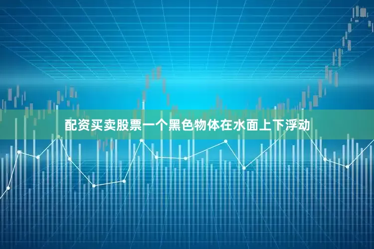 配资买卖股票一个黑色物体在水面上下浮动